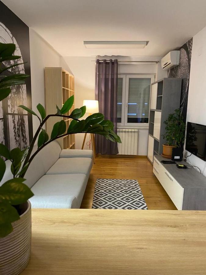 Benvenuti Apartments Belgrado Esterno foto
